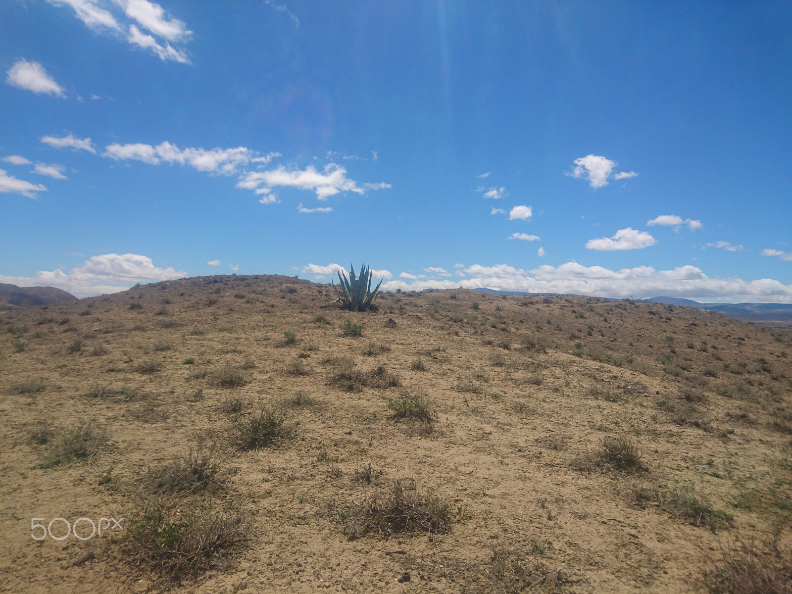 Sony Xperia Z5 sample photo. Dsc photography