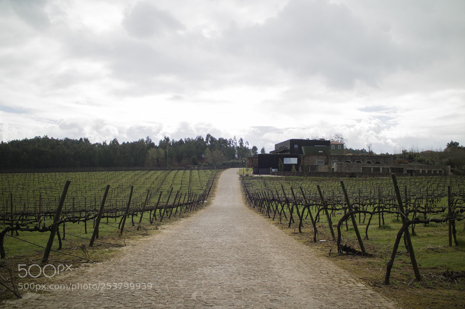 Canon EOS M3 sample photo. Wine heaven photography