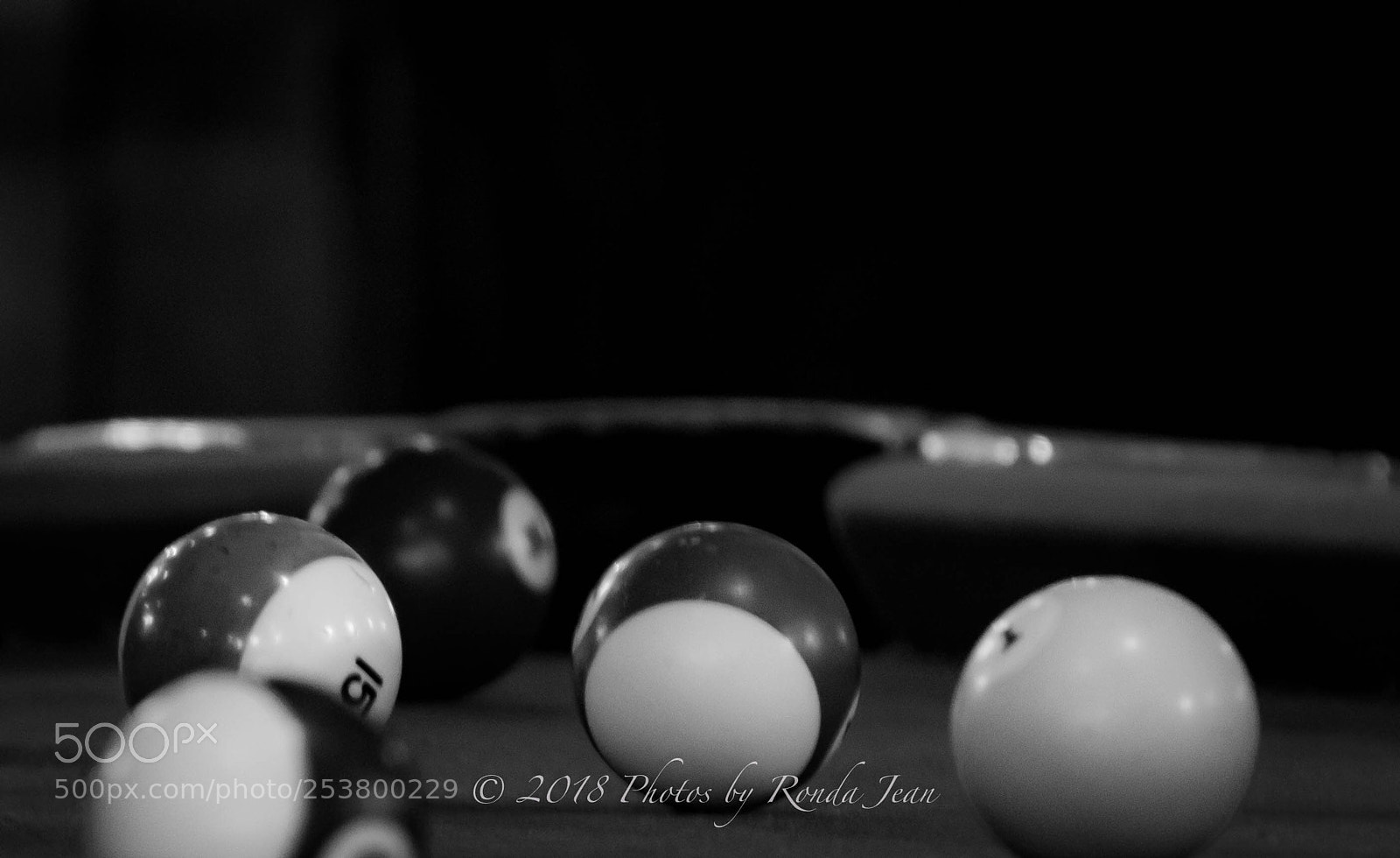 Nikon D500 sample photo. Untitled photography