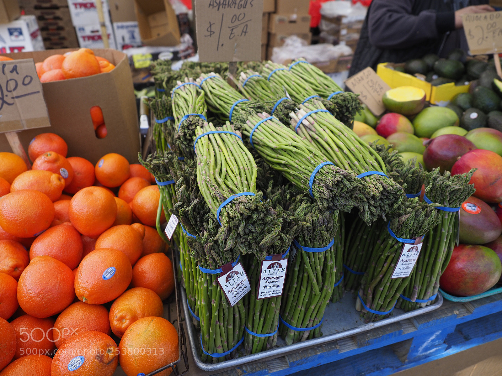 Olympus OM-D E-M1 Mark II sample photo. Boston fruit market photography