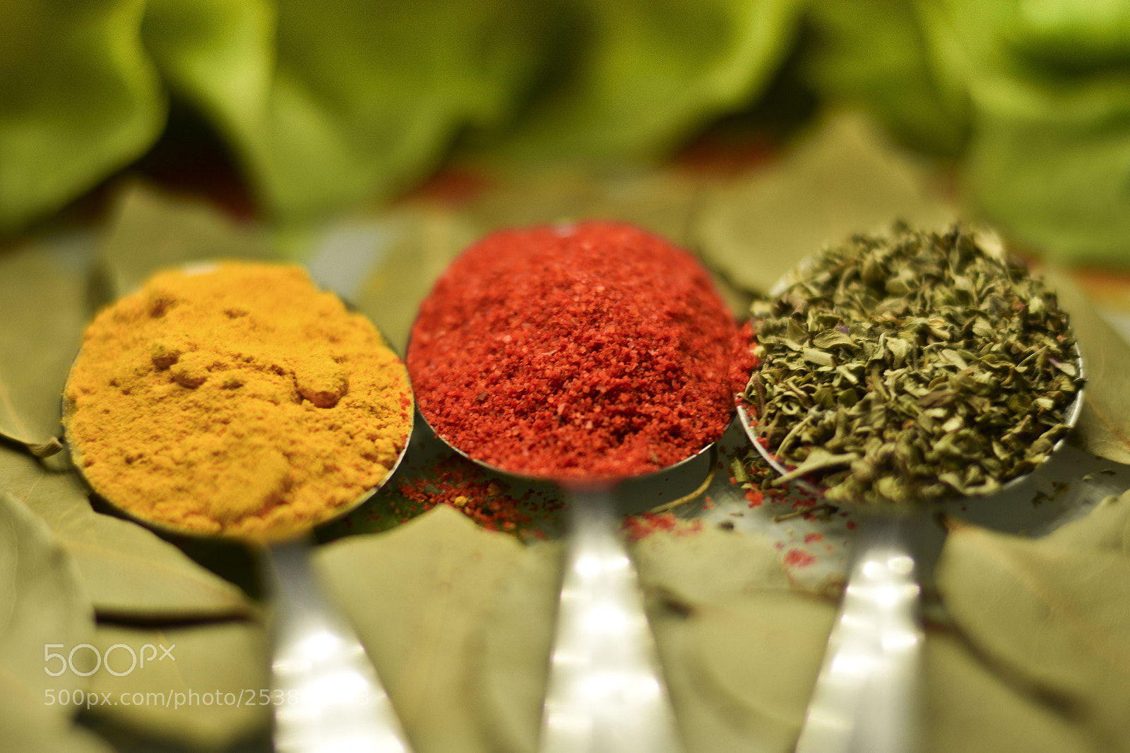 Nikon D5300 sample photo. Condiment photography