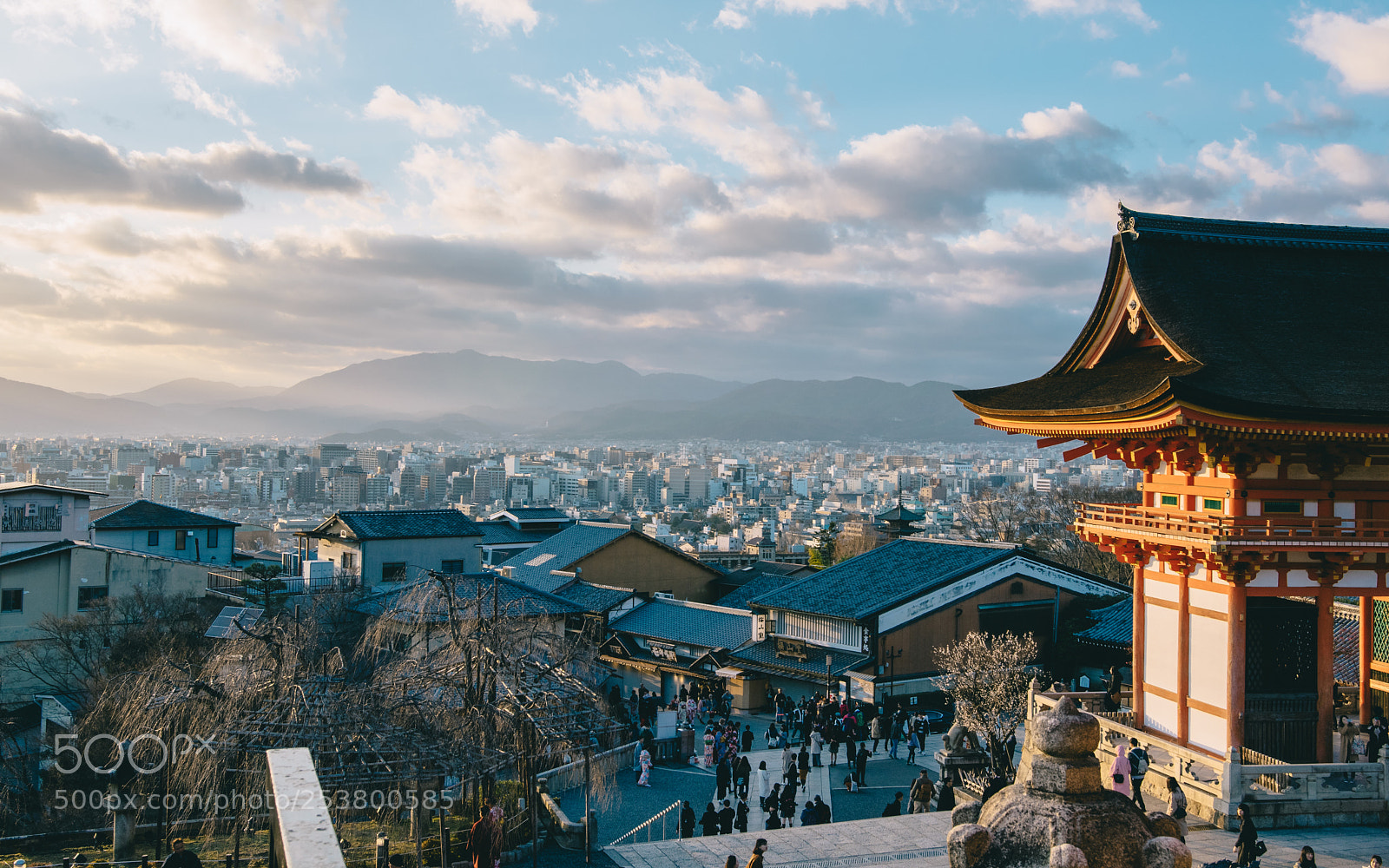 Nikon D5300 sample photo. Kyoto temples and skyline photography