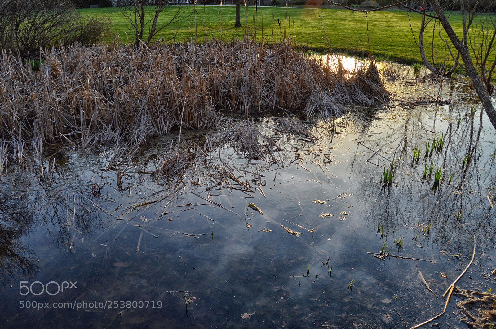Nikon D3200 sample photo. Sunset pond photography
