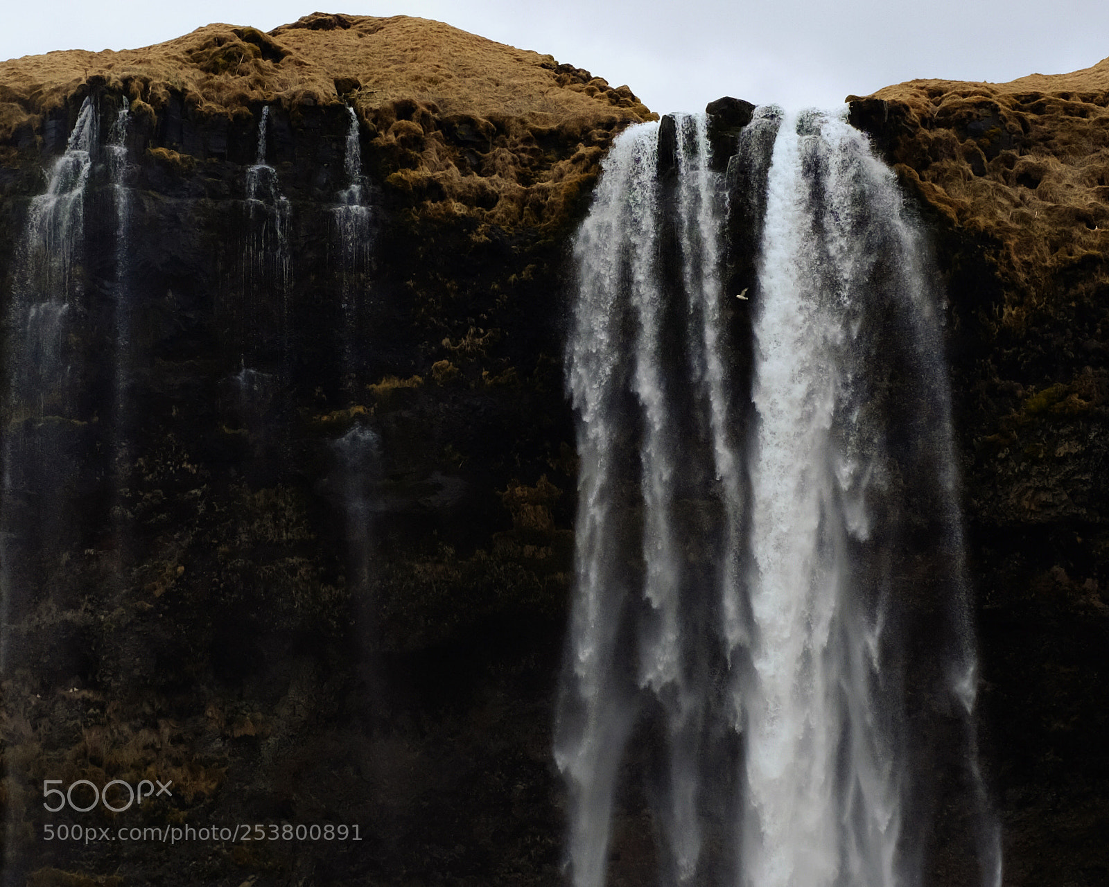 Fujifilm X100F sample photo. Freedom photography