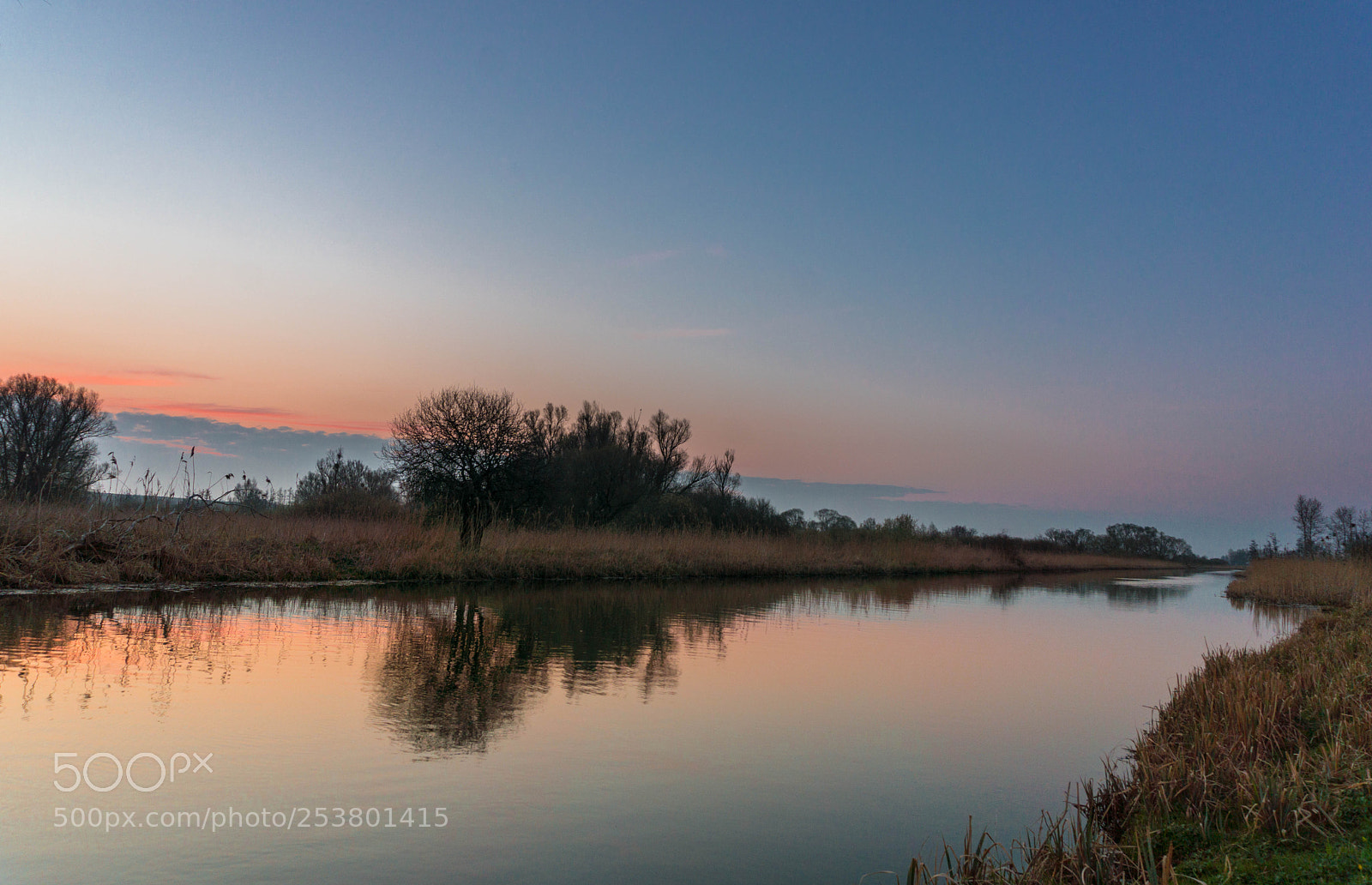 Sony a6000 sample photo. Dsc photography
