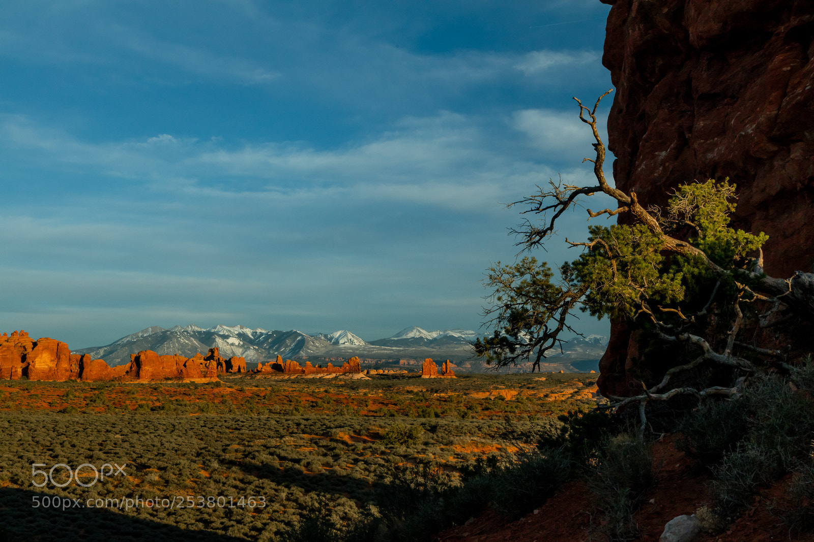 Canon EOS 5DS R sample photo. Arches photography