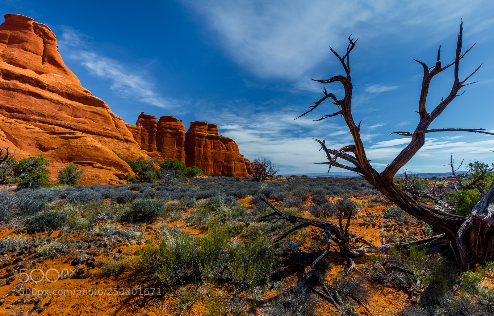 Canon EOS 5DS R sample photo. Sand dune arch trail photography
