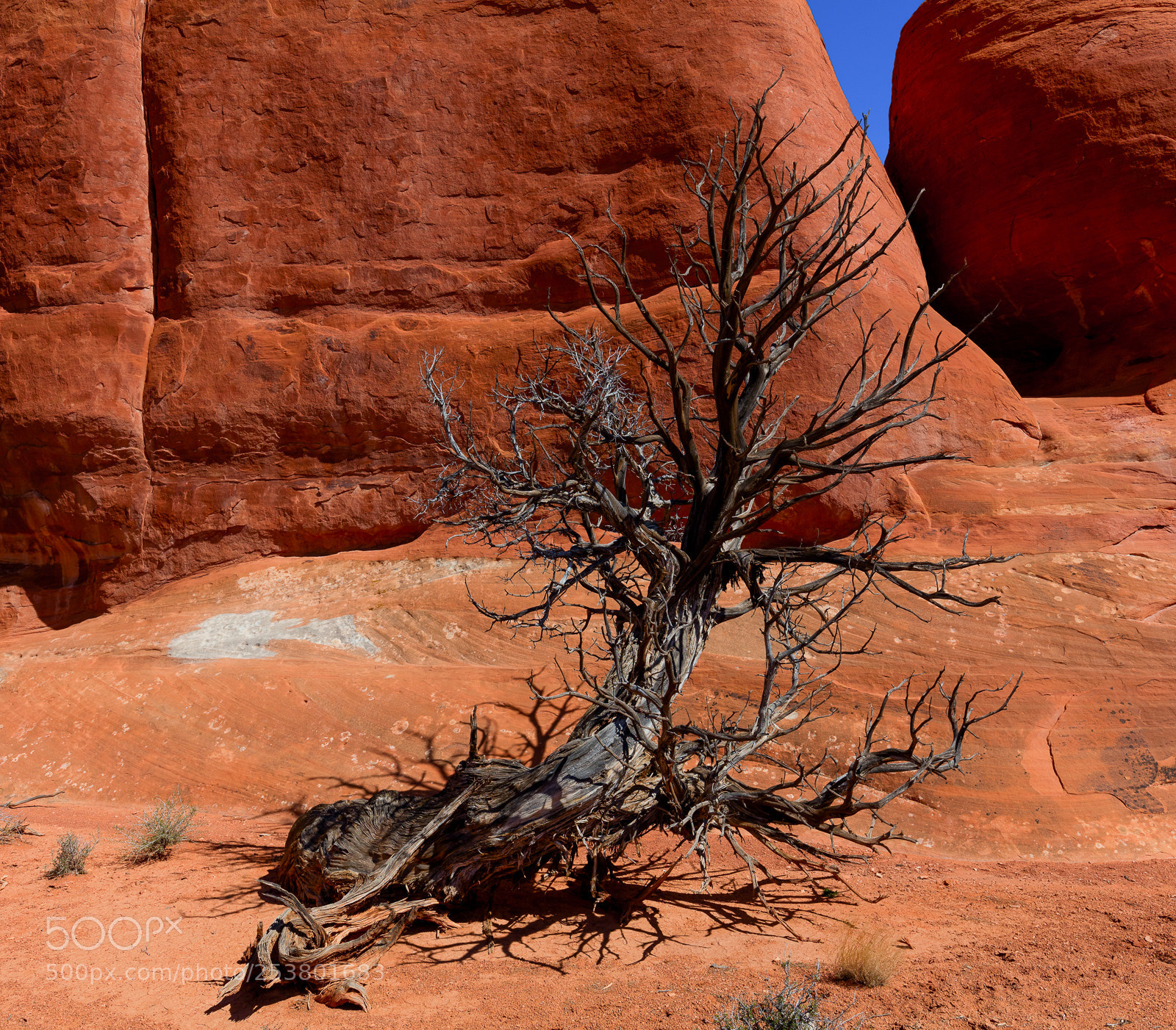 Canon EOS 5DS R sample photo. Sand dune arch trail photography