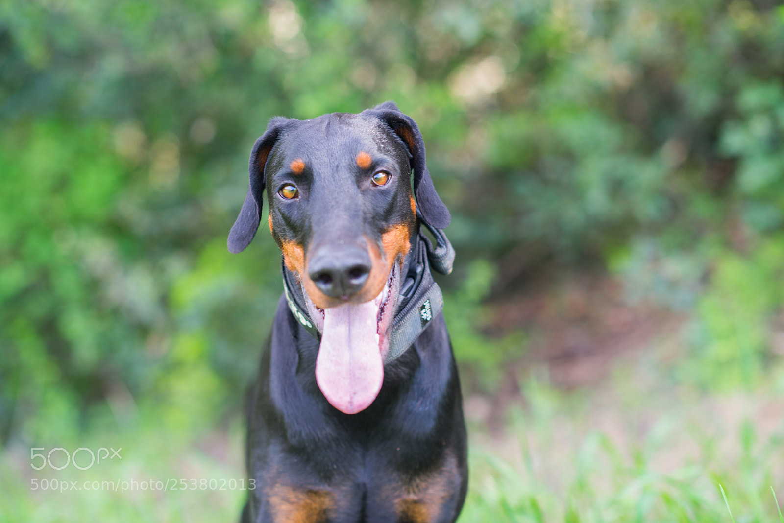 Nikon D610 sample photo. Zara photography