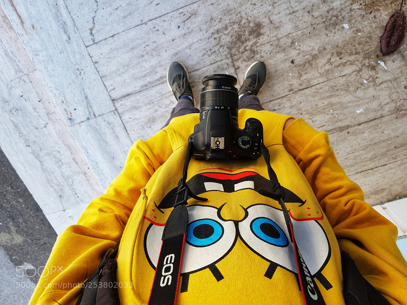 Samsung Galaxy S8+ sample photo. Untitled photography