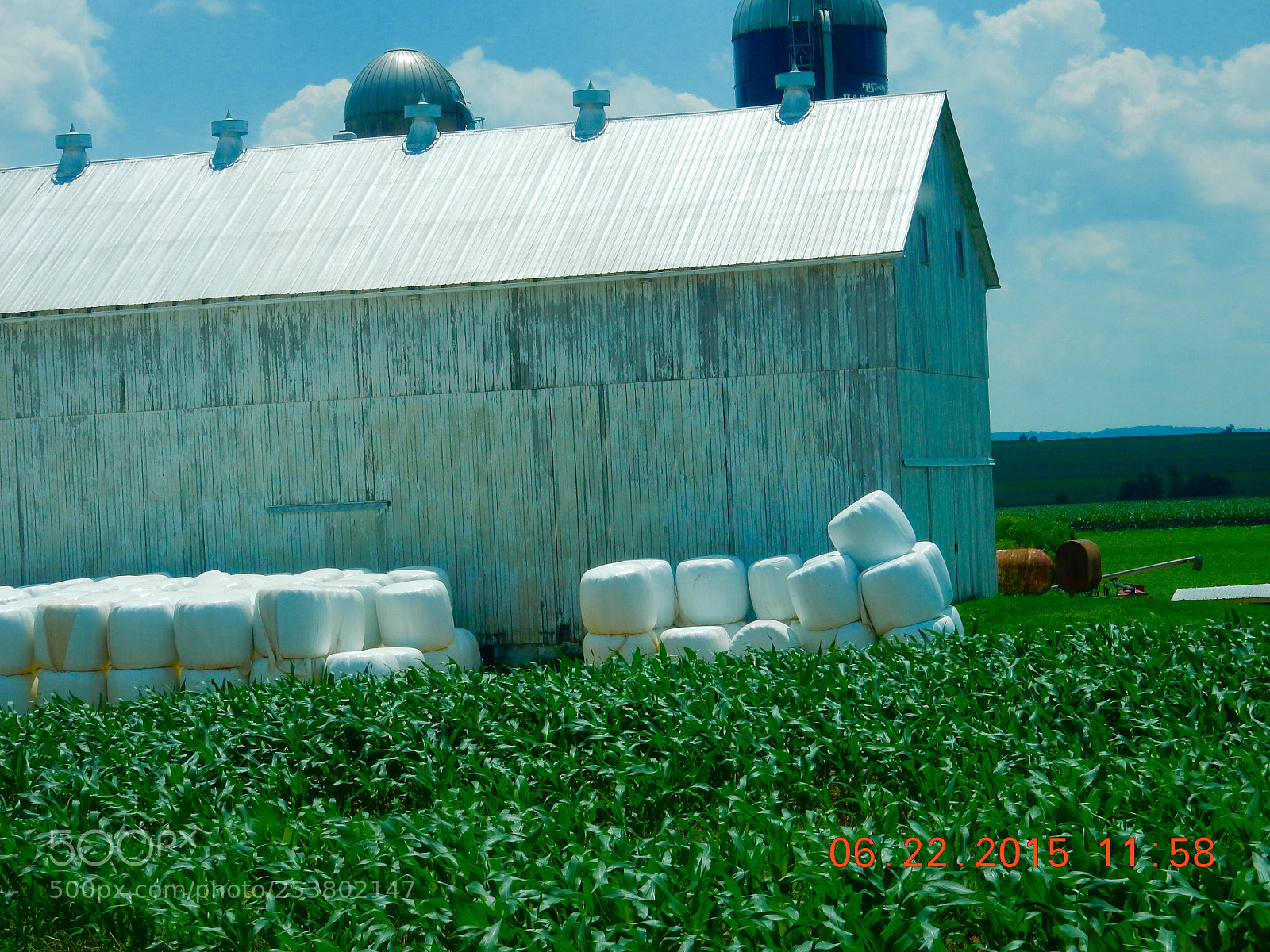 Nikon Coolpix S9900 sample photo. Hay bales wrapped...looking like photography