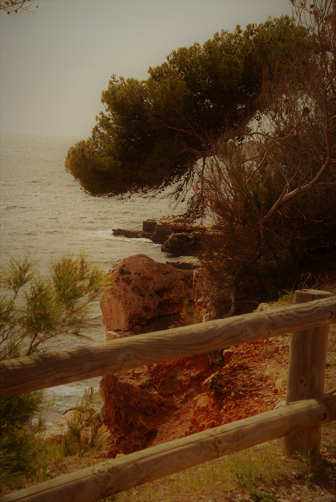 Nikon D60 sample photo. Balade à bandol... photography