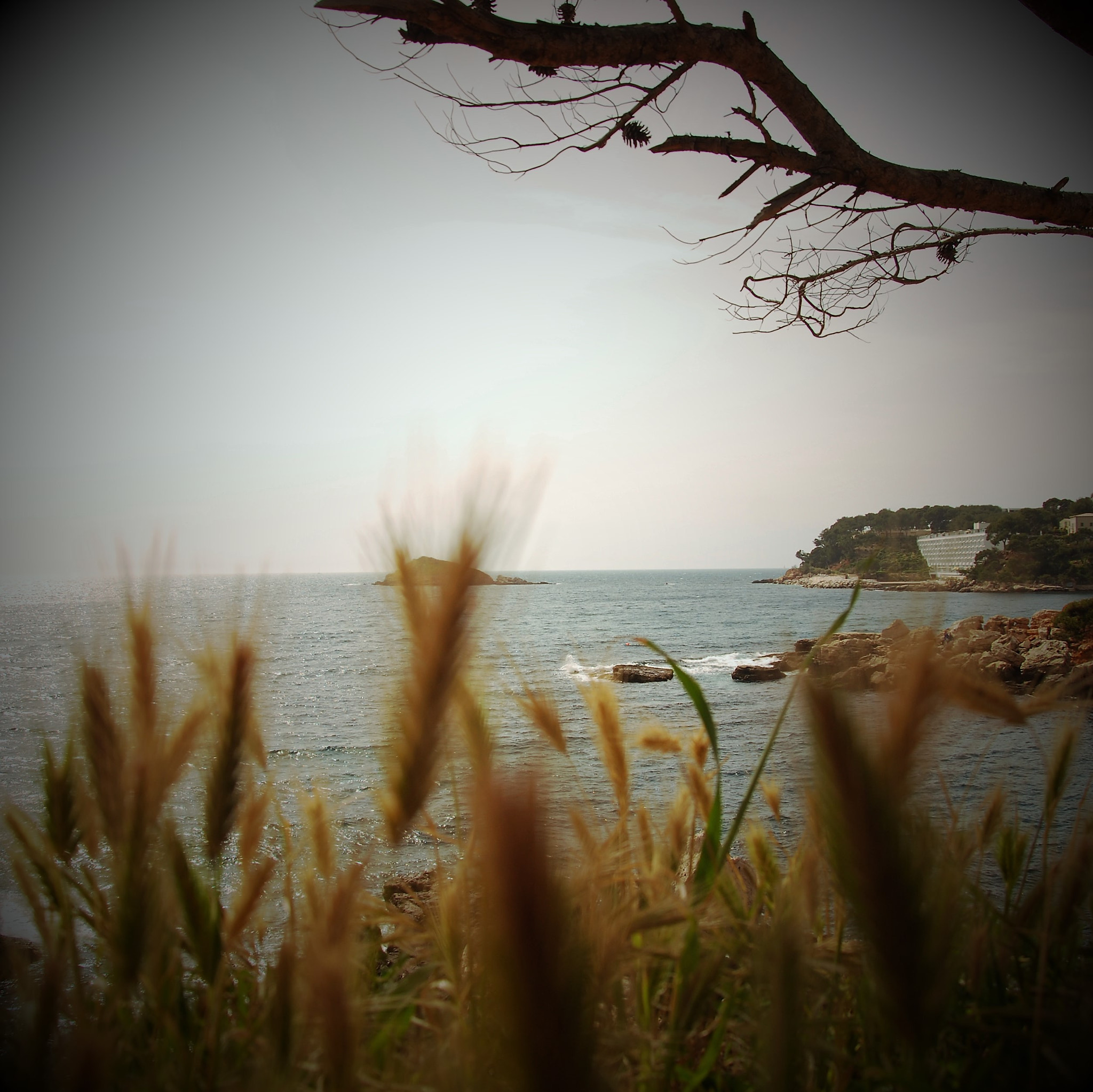 Nikon D60 sample photo. Balade à bandol... photography