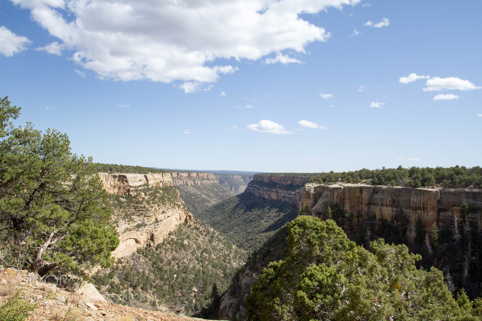 Canon EOS 7D sample photo. Mesa verde national park photography