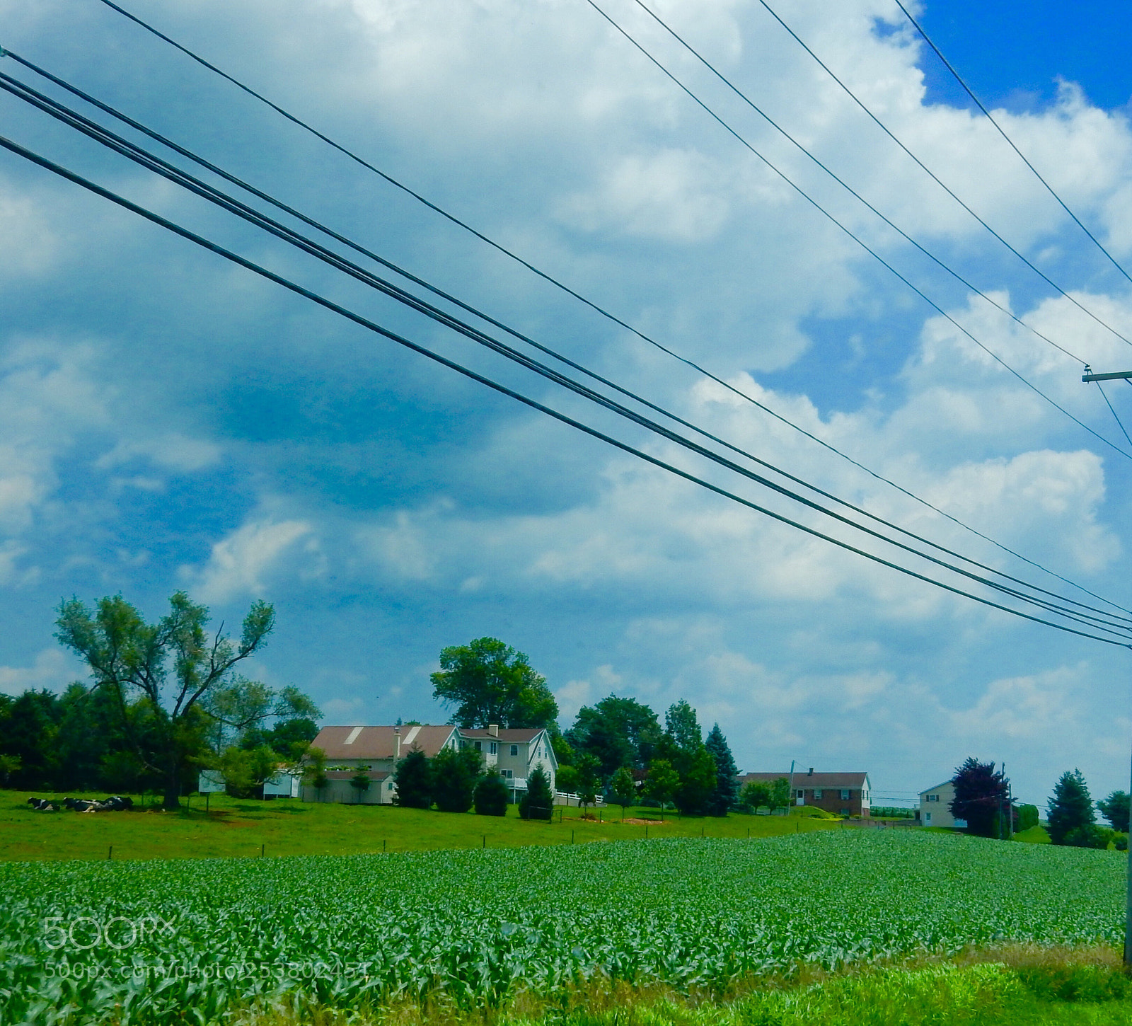 Nikon Coolpix S9900 sample photo. Gordonville pa..... photography