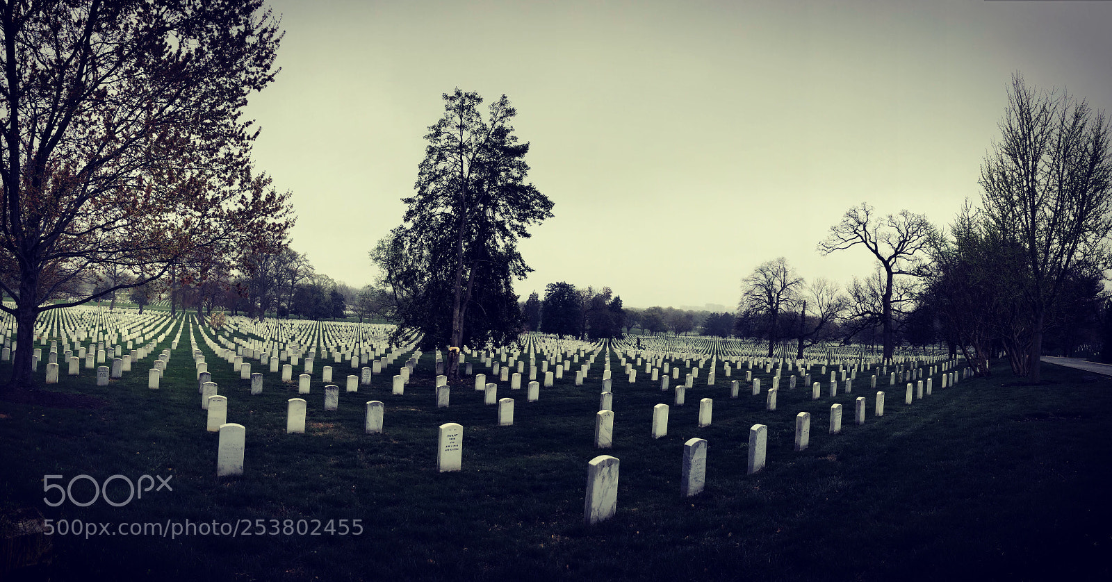 Apple iPhone X sample photo. Arlington national cemetery,washington dc photography