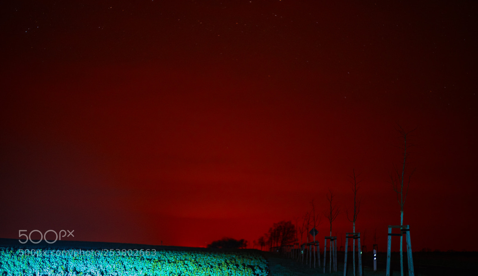 Sony a7 II sample photo. Blood sky photography