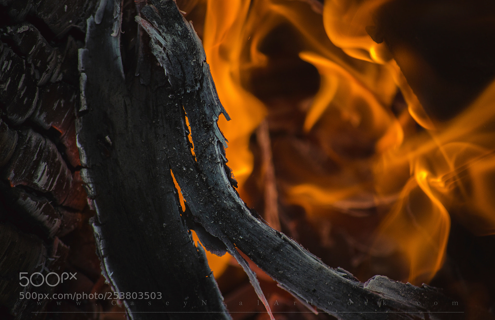 Nikon D5100 sample photo. Crackle of warmth photography