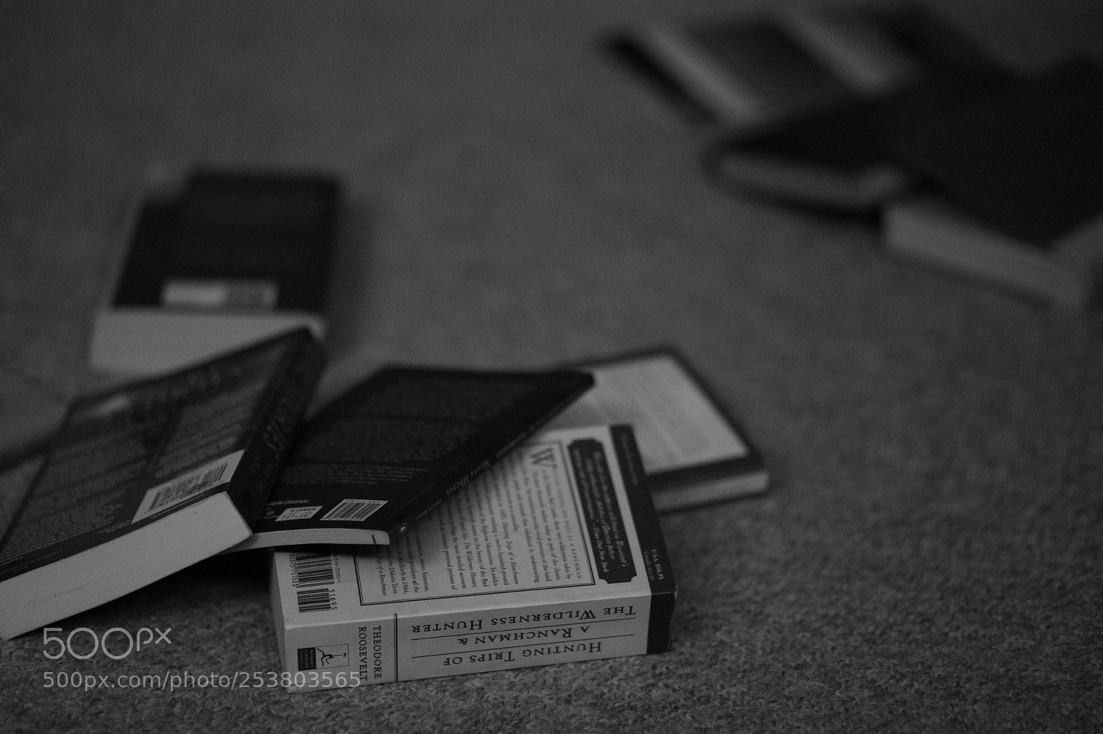 Canon EOS 6D Mark II sample photo. Untitled photography