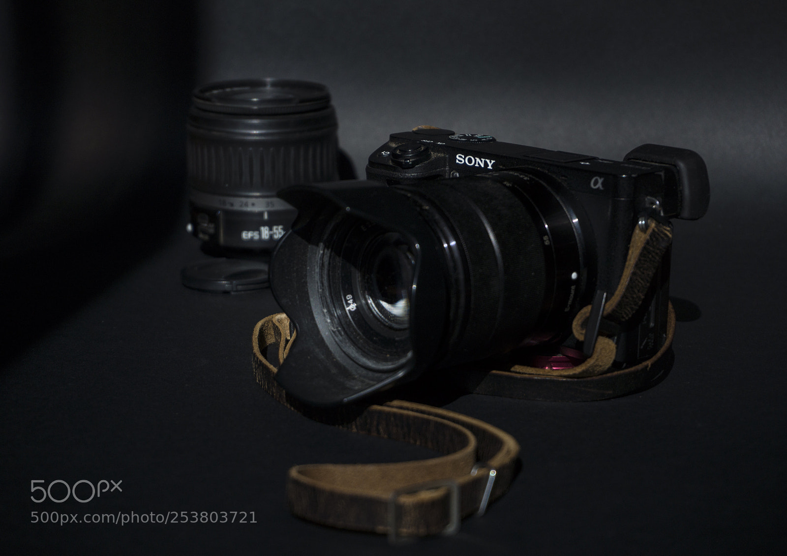 Sony Alpha NEX-7 sample photo. Untitled photography