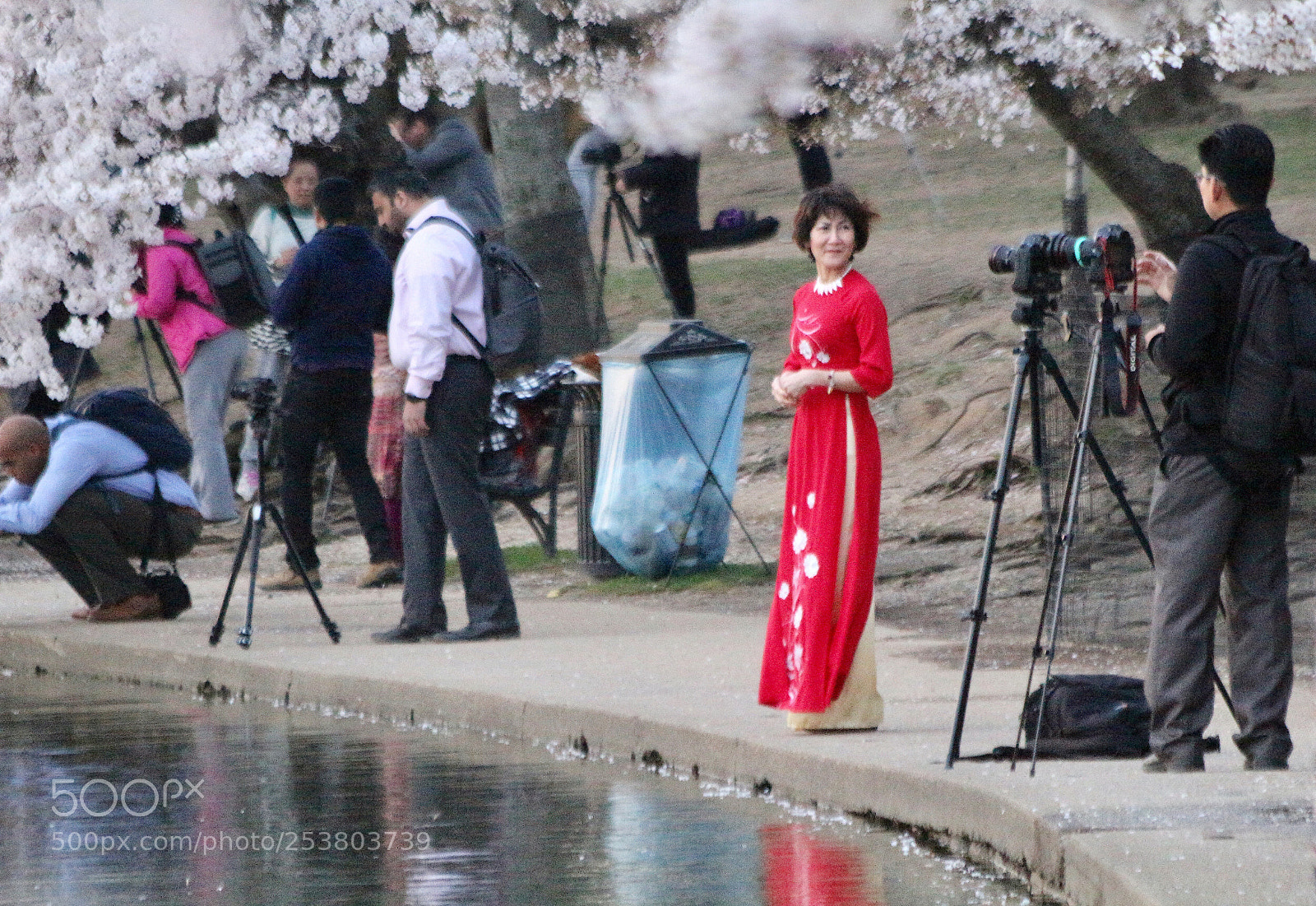 Canon EOS 100D (EOS Rebel SL1 / EOS Kiss X7) sample photo. @ the tidal basin photography