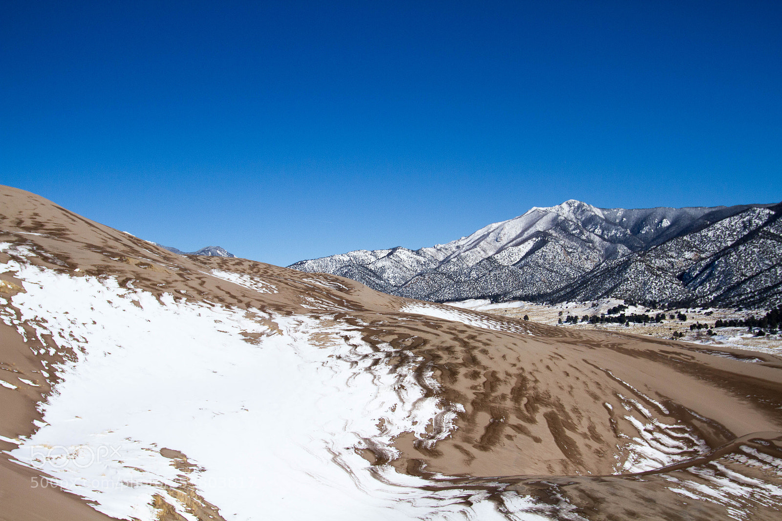 Canon EOS 7D sample photo. Great sand dune national photography