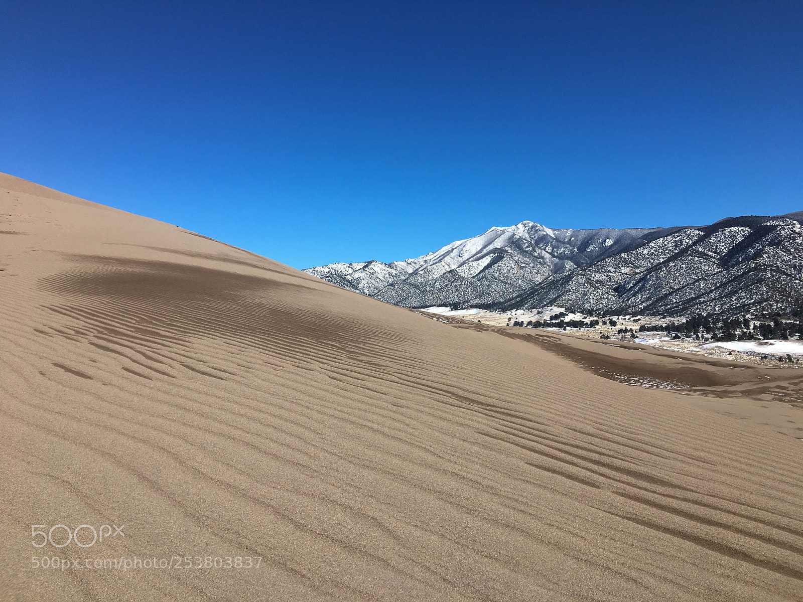 Apple iPhone 6s sample photo. Great sand dune national photography