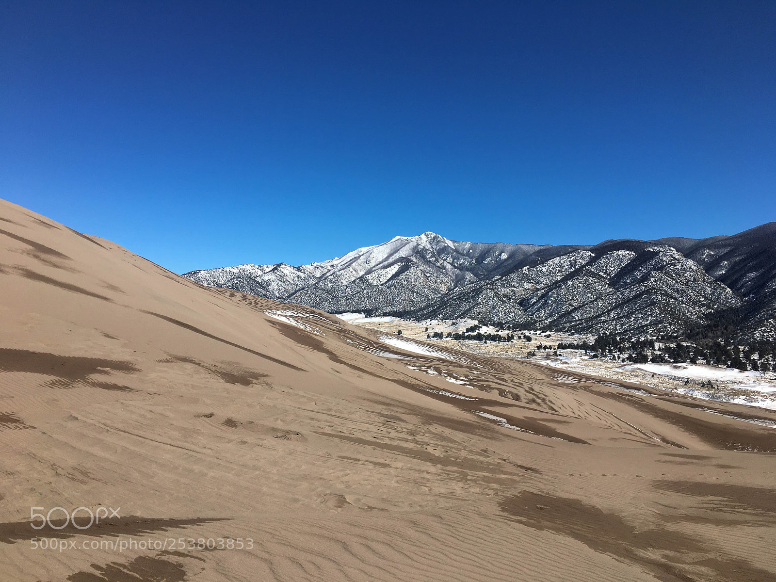 Apple iPhone 6s sample photo. Great sand dune national photography