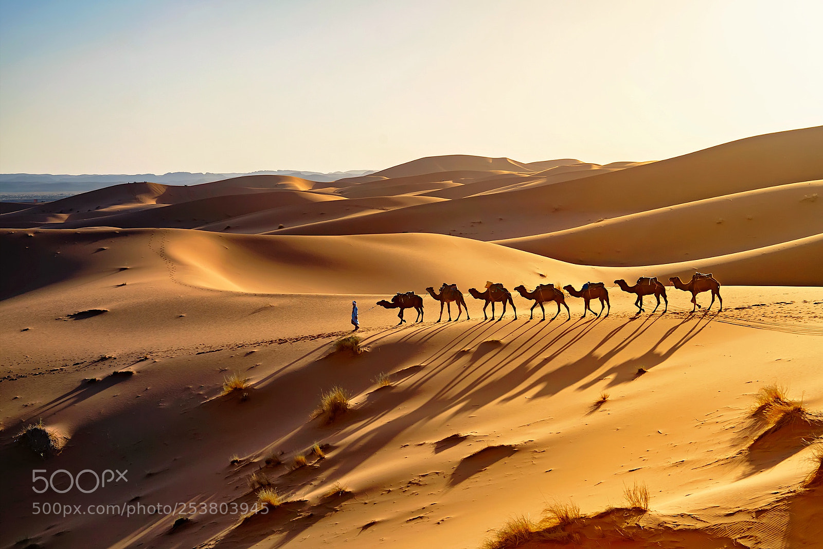 Sony a99 II sample photo. Caravan in the sahara photography