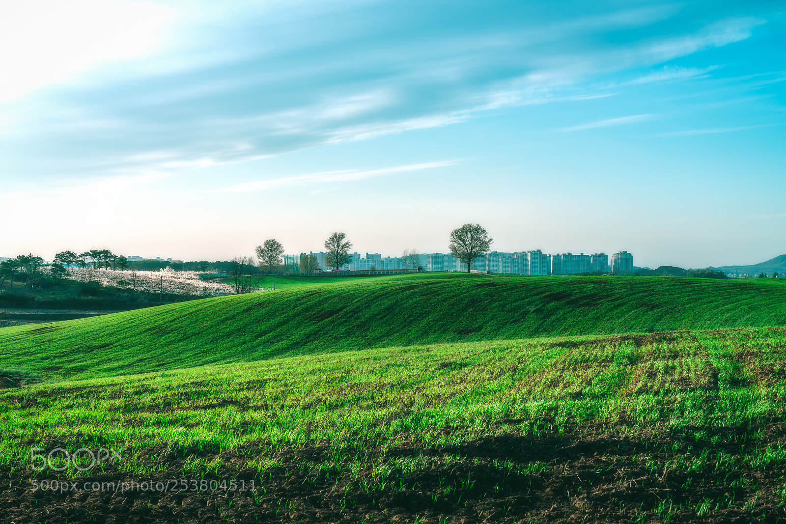 Sony a7R II sample photo. Untitled photography