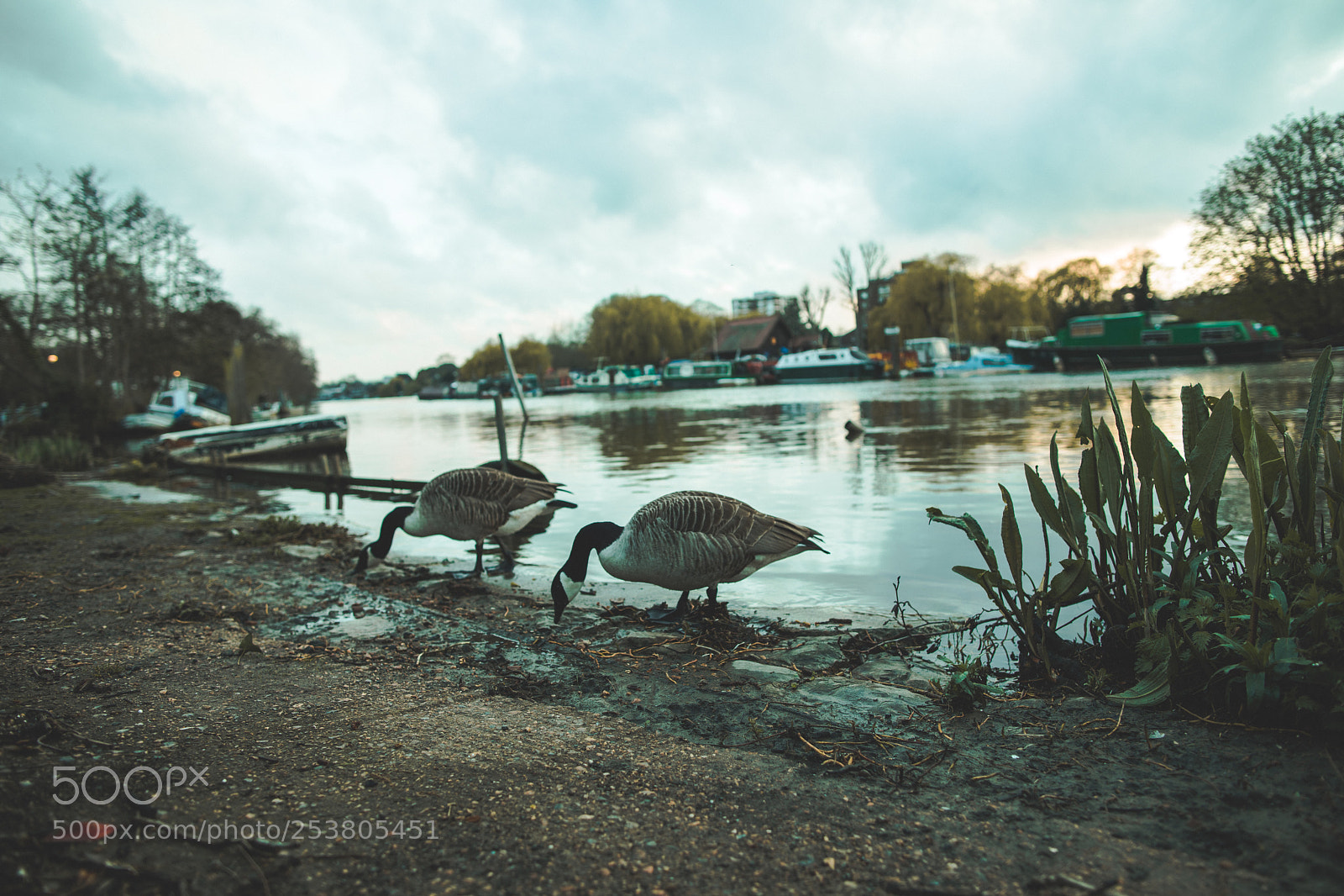 Canon EOS 5D Mark IV sample photo. Untitled photography