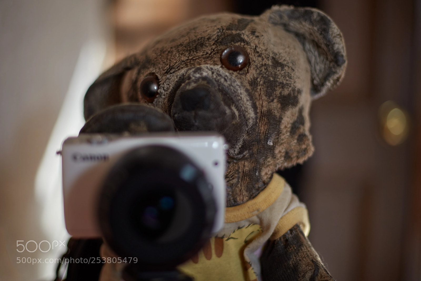Canon EOS 5DS sample photo. My new assistant photography