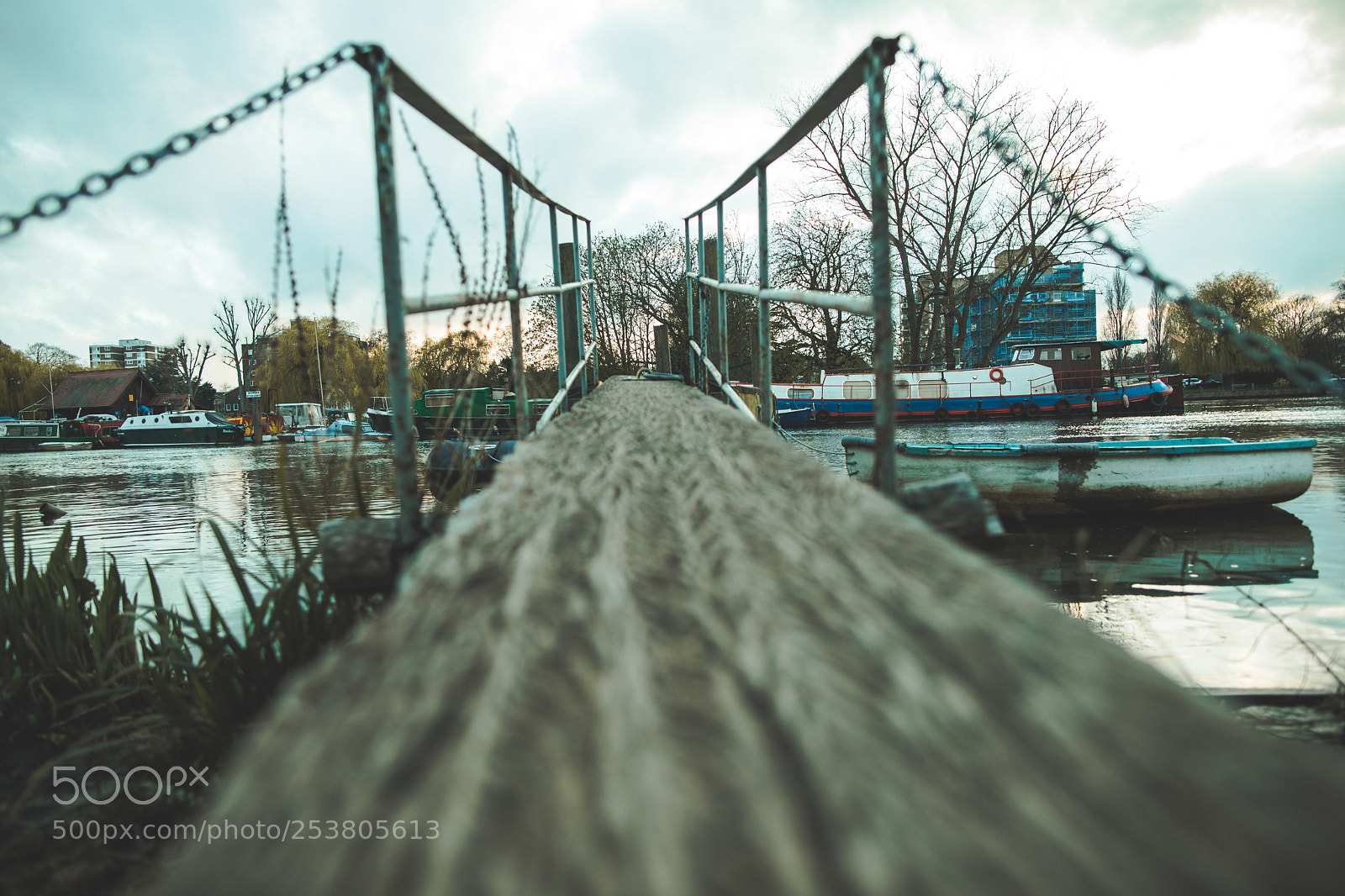 Canon EOS 5D Mark IV sample photo. Untitled photography