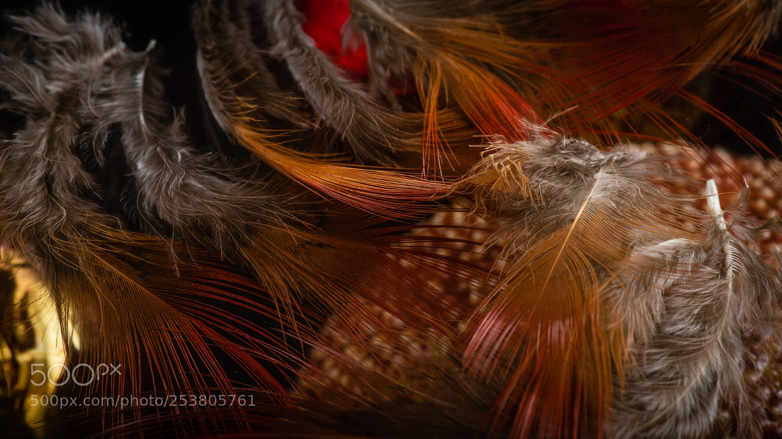 Nikon D810 sample photo. Dropped photography