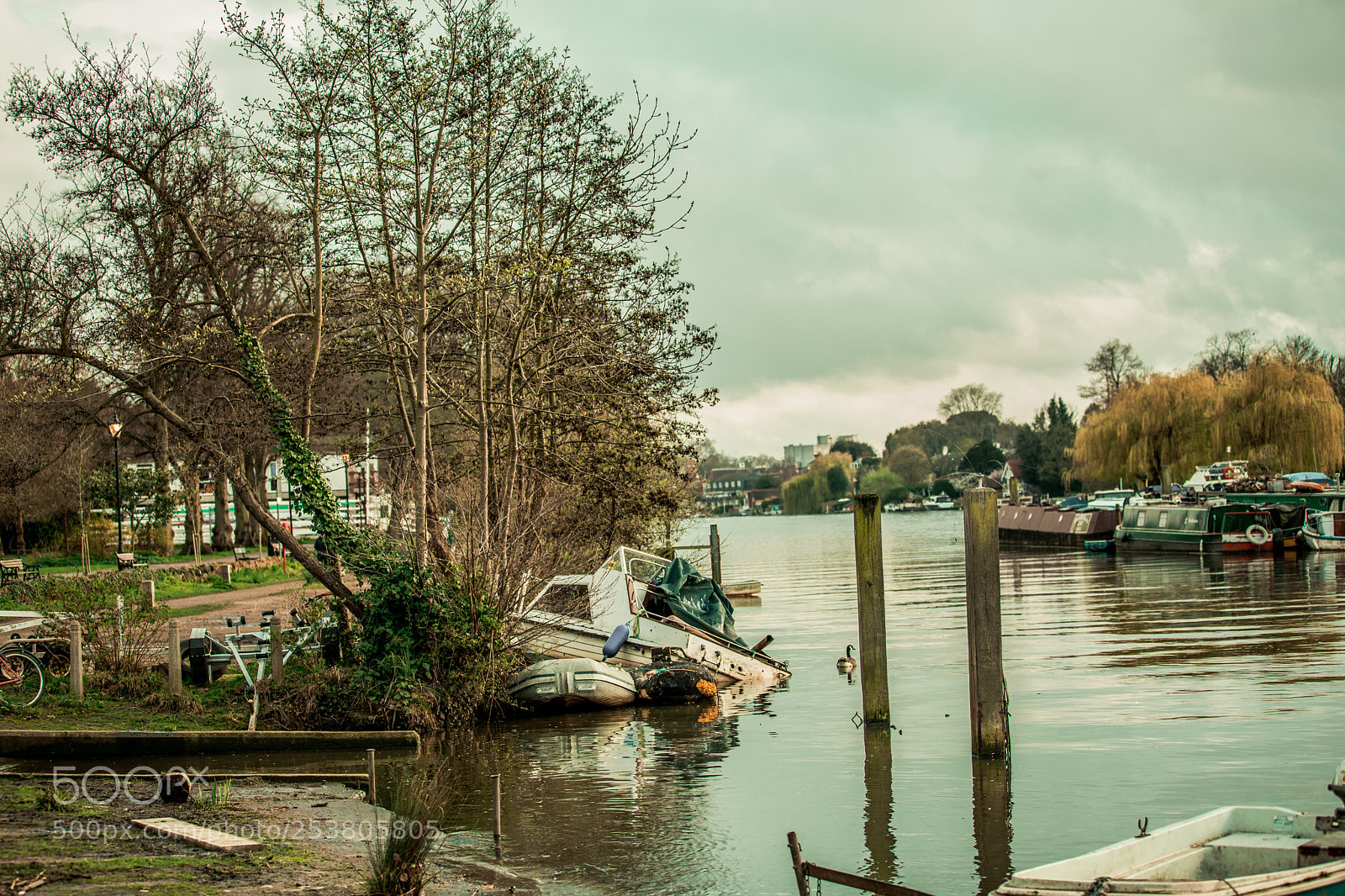 Canon EOS 5D Mark IV sample photo. Untitled photography