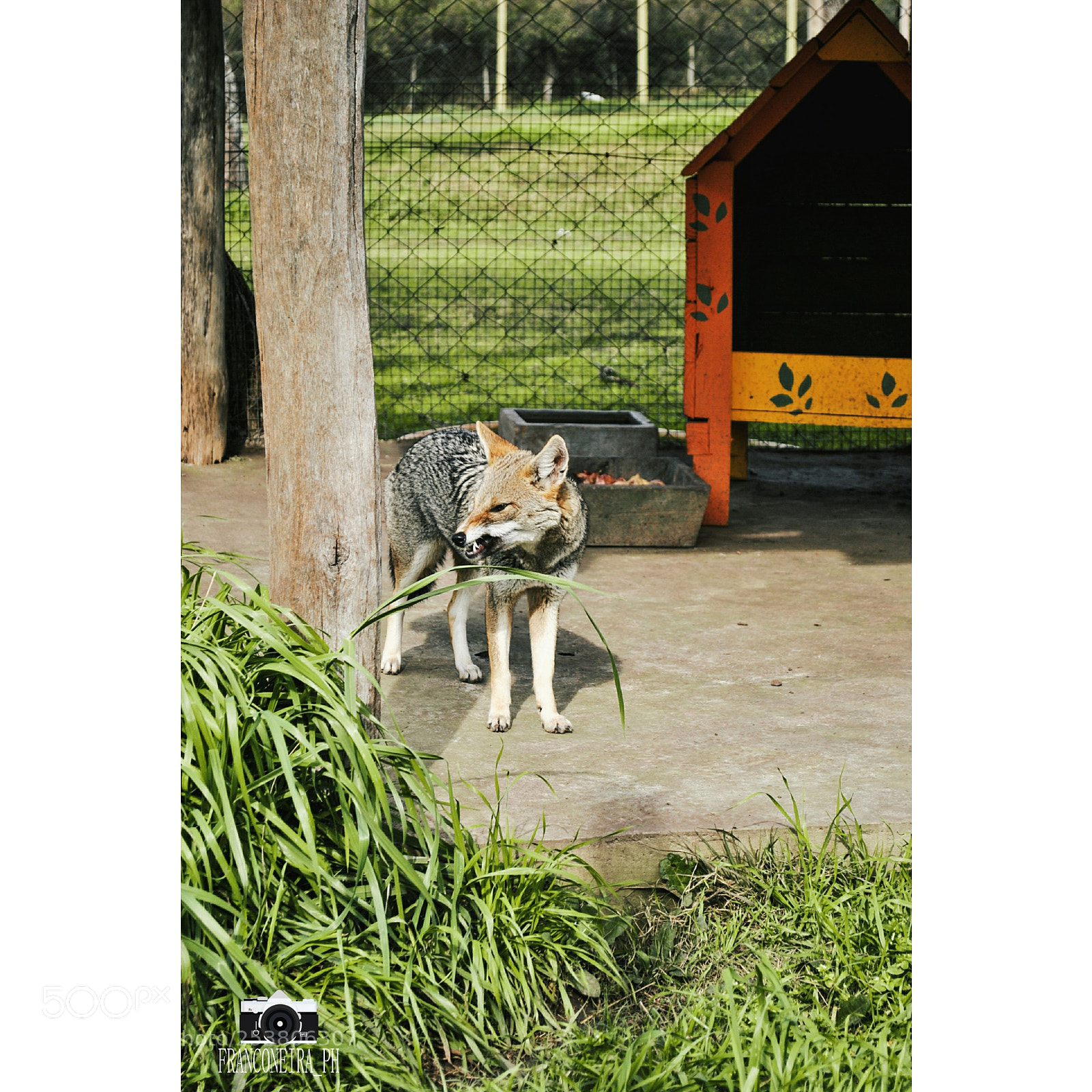 Nikon D3000 sample photo. Untitled photography
