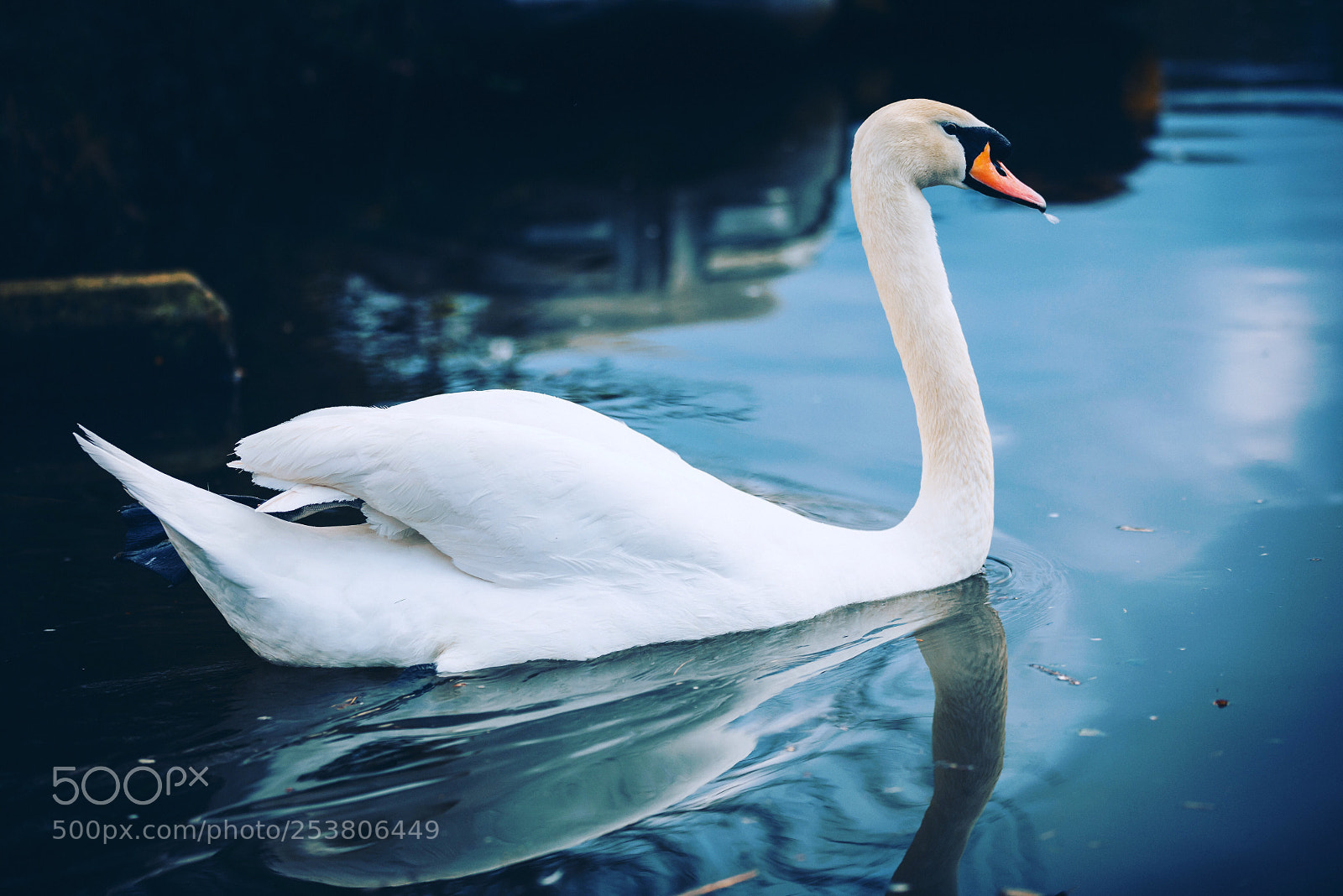 Canon EOS 5D Mark IV sample photo. Untitled photography