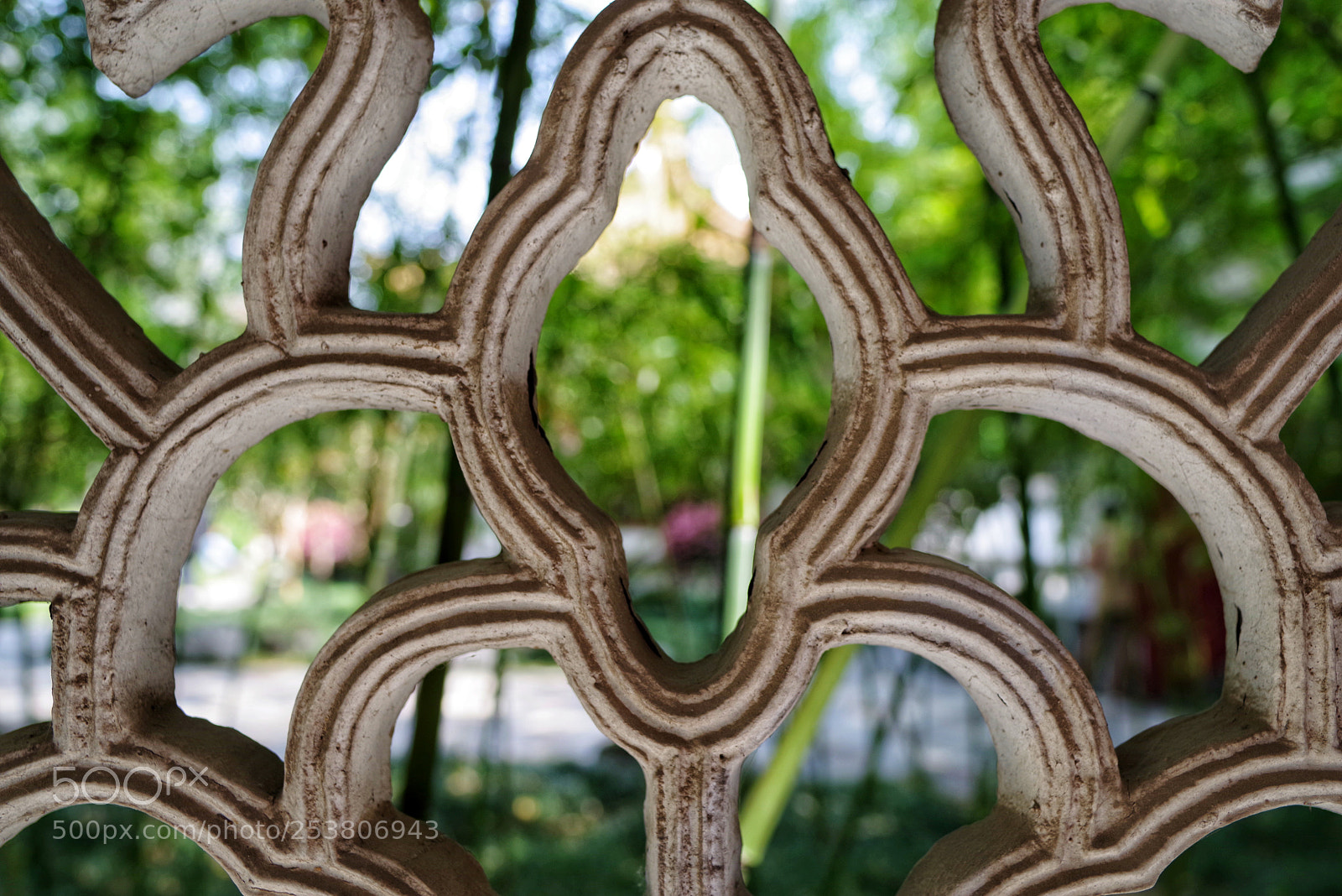 Pentax K-1 sample photo. Untitled photography