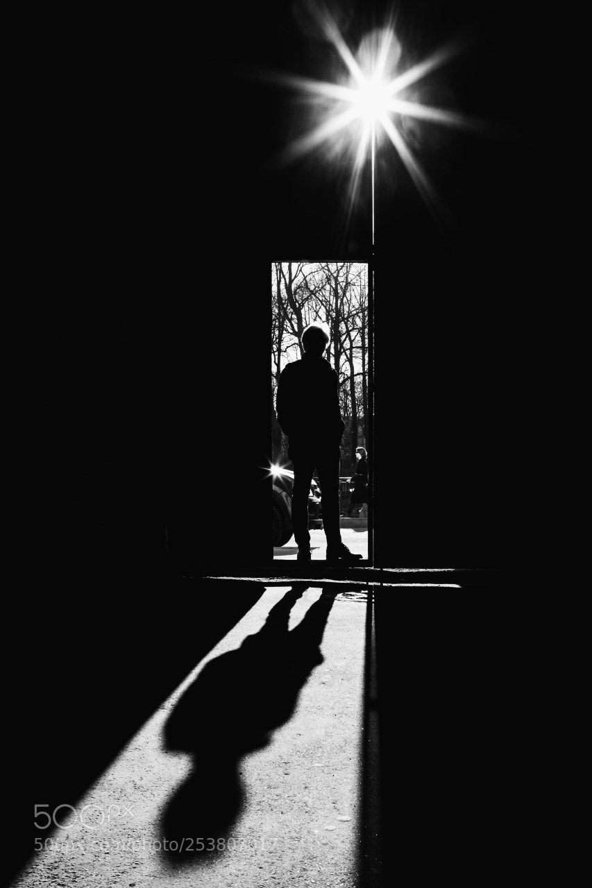 Canon EOS 5D Mark II sample photo. Sun in gates photography