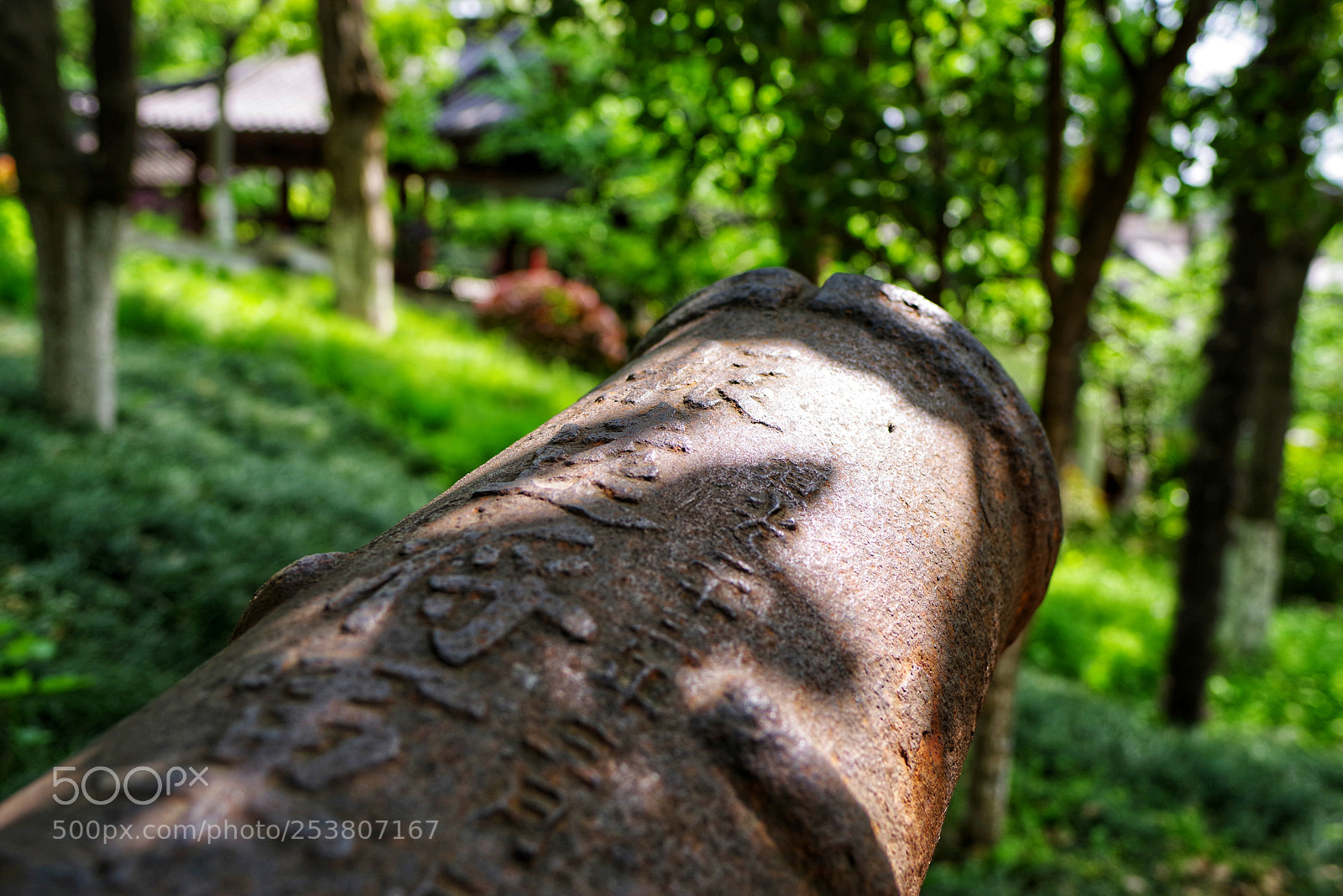 Pentax K-1 sample photo. Untitled photography