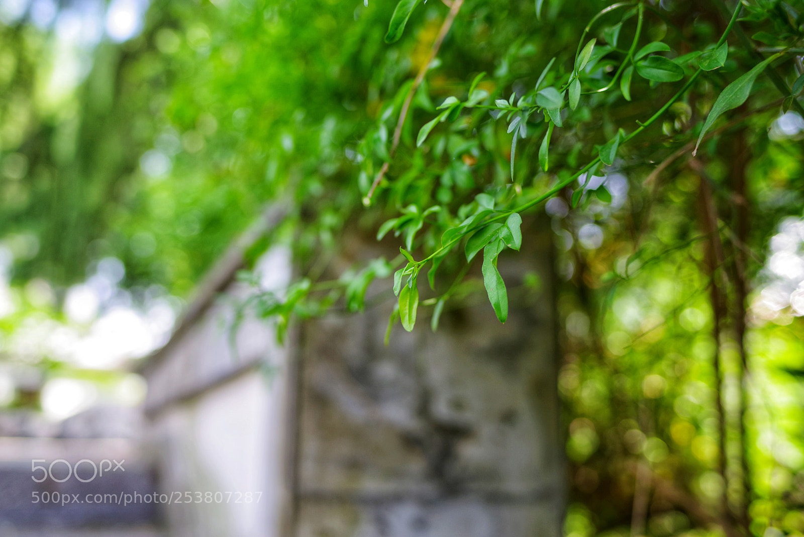 Pentax K-1 sample photo. Untitled photography