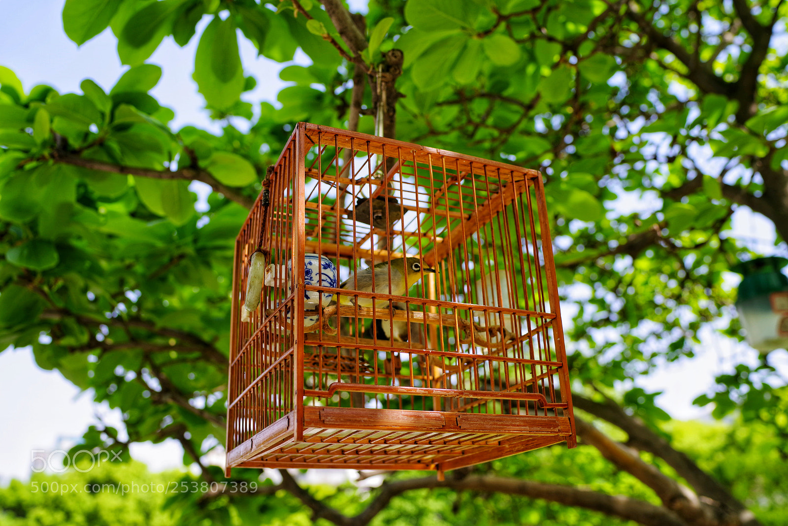 Pentax K-1 sample photo. Untitled photography