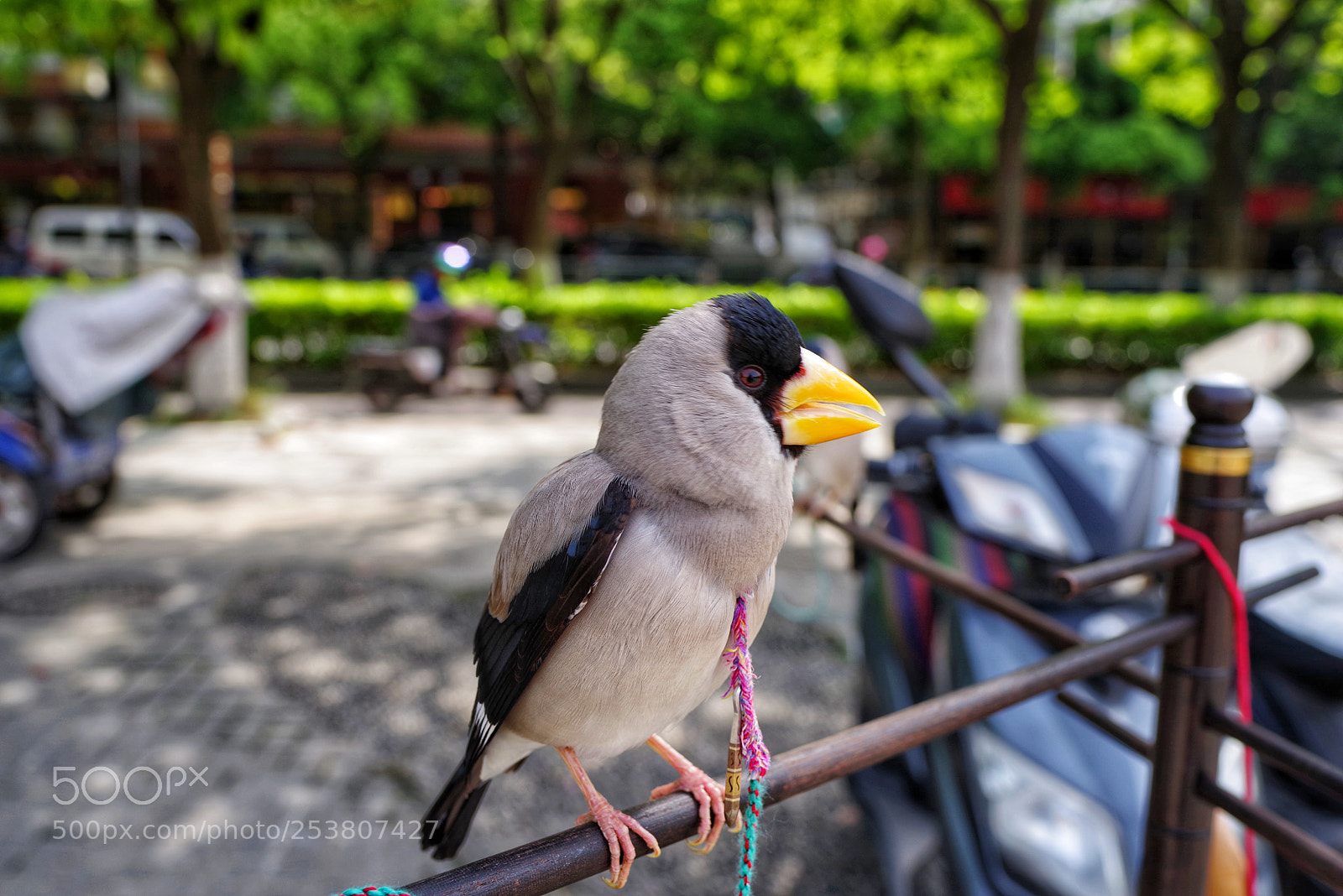 Pentax K-1 sample photo. Untitled photography