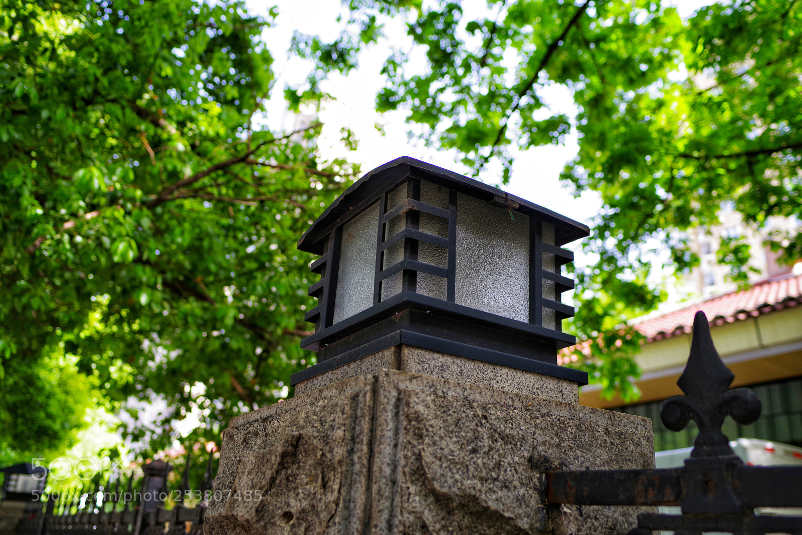 Pentax K-1 sample photo. Untitled photography