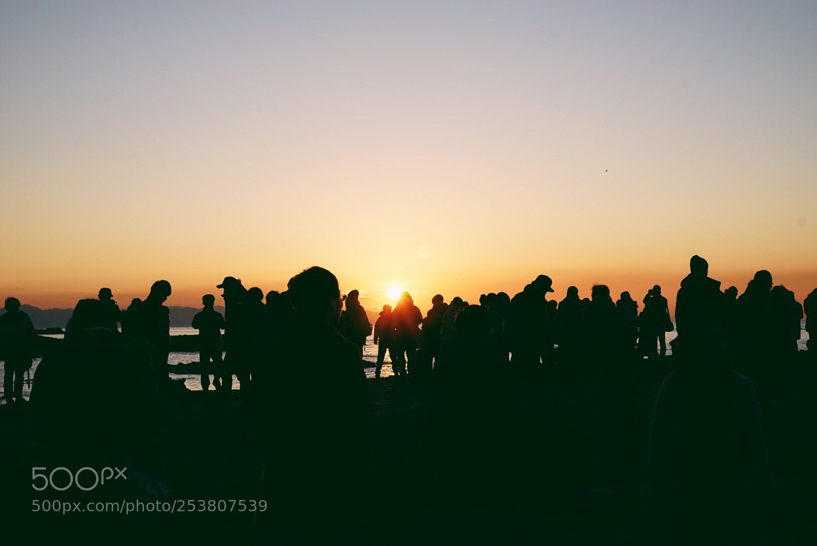 Sony a7 sample photo. Busy world photography