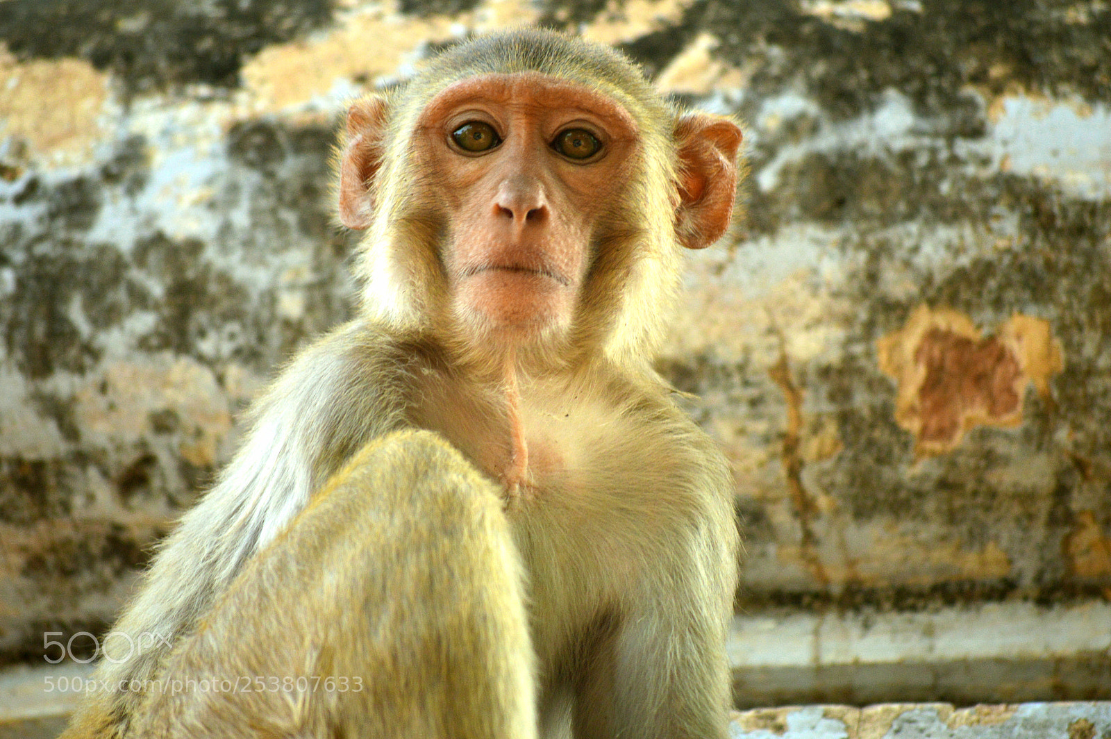 Nikon D3200 sample photo. Untitled photography