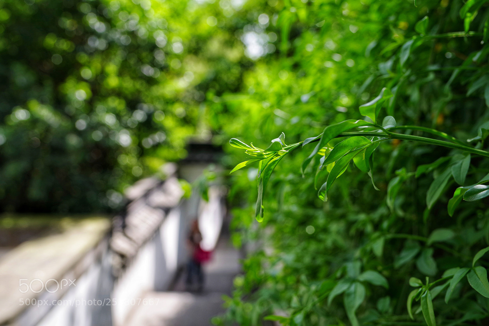Pentax K-1 sample photo. Untitled photography