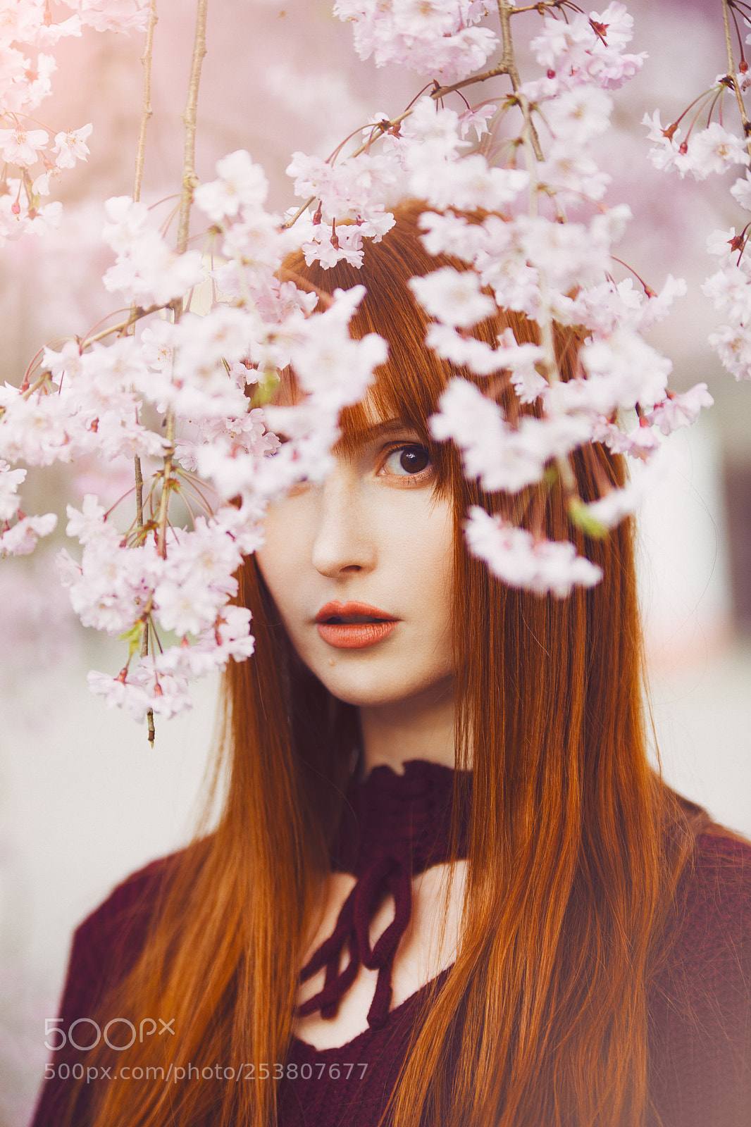 Canon EOS 5D Mark IV sample photo. Rachel in japan photography