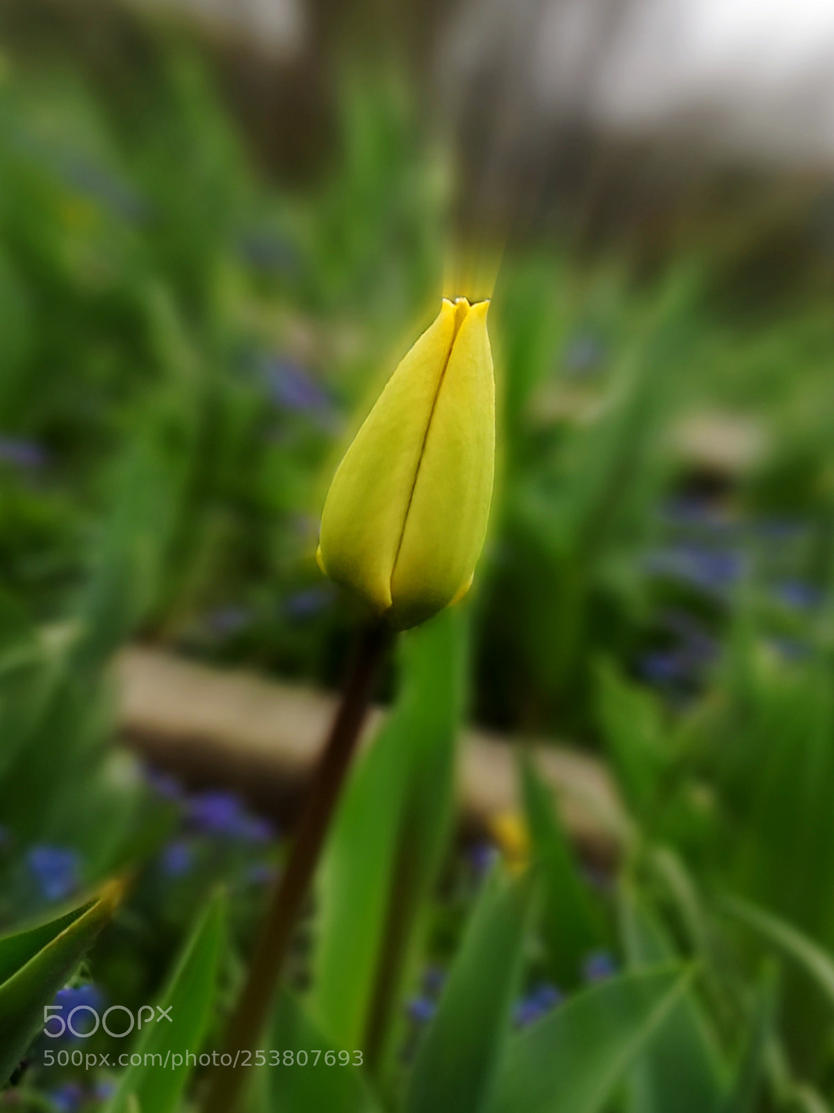 HUAWEI Mate 10 Pro sample photo. Finally it's here.. photography
