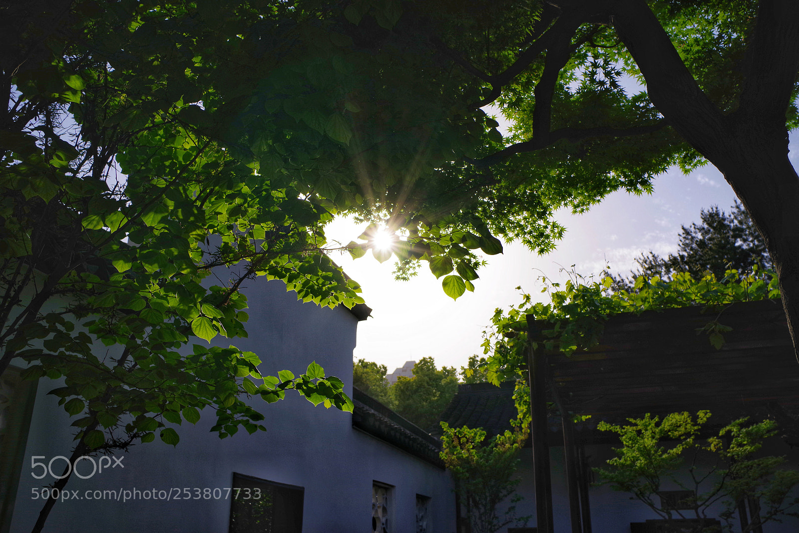 Pentax K-1 sample photo. Untitled photography